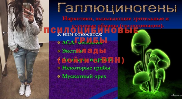 гидропоника Абдулино
