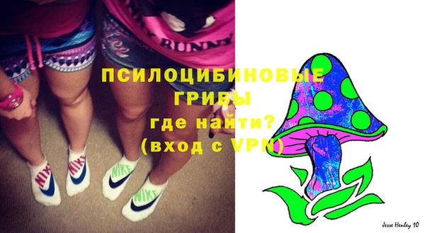гидропоника Абдулино