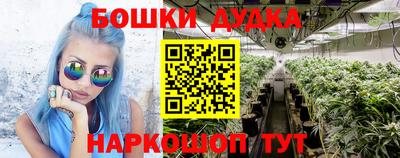 ALPHA PVP Камышлов